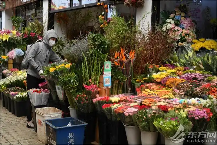 暖意回归 上海市中心最大花鸟市场迎来"春天"