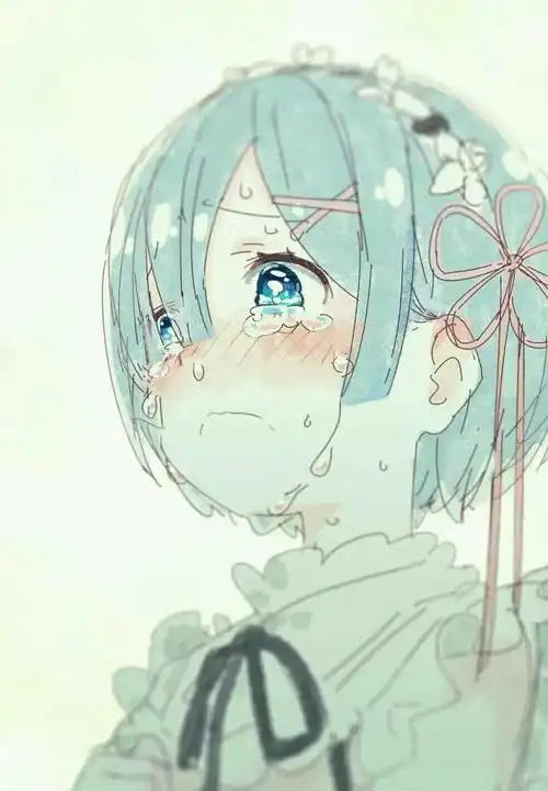 雷姆是拥有人妻属性的女仆,不是女主却胜似女主,被许多观众喜欢,甚至