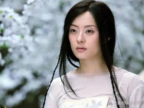 孙俪在《大话天仙》2015年,孙俪主演的古装历史剧《芈月传》在湖南