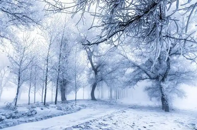 中国雪景最美的7个地方,太美了,炎炎夏日,看一眼都解暑