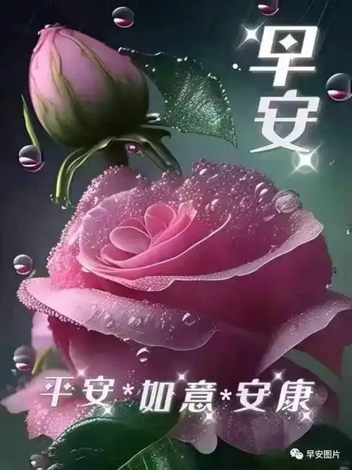 早上好,太阳升起,问候与你相遇.愿你的一天开心愉快,好运像流星划过.