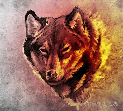 草绘的图的狼头纹身艺术