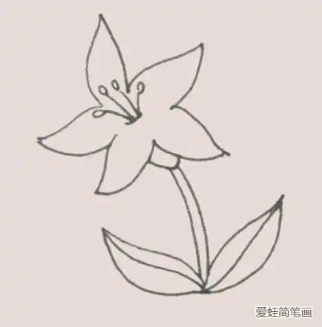 百合花简笔画