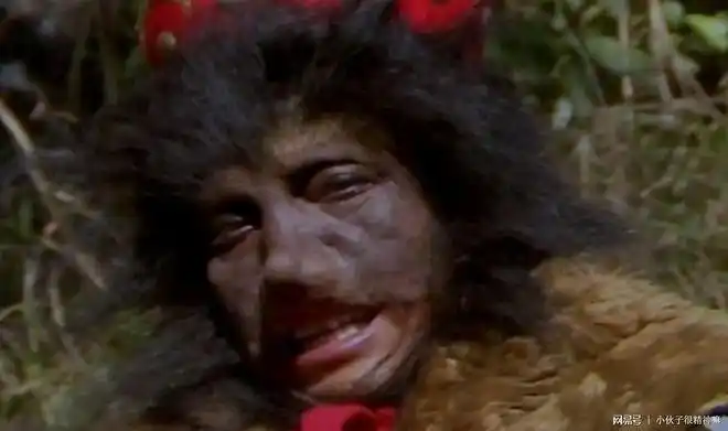 西游记中的黑熊精到底有什么特别之处能被观音菩萨看中