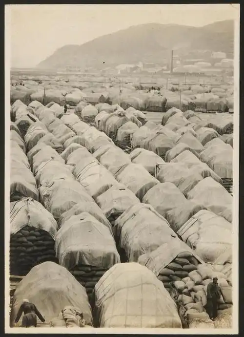 老照片,上世纪二十年代的大连,普通老百姓生活十分艰难