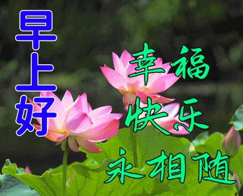 早上好朋友,清晨问候大家早上好动态图表情图片 清晨祝福早上好问候语
