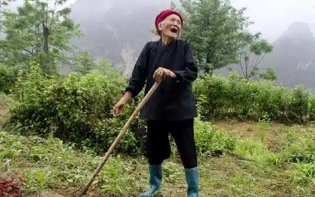 长寿有秘诀吗若能读懂巴马老人的五字真言长寿悄来临