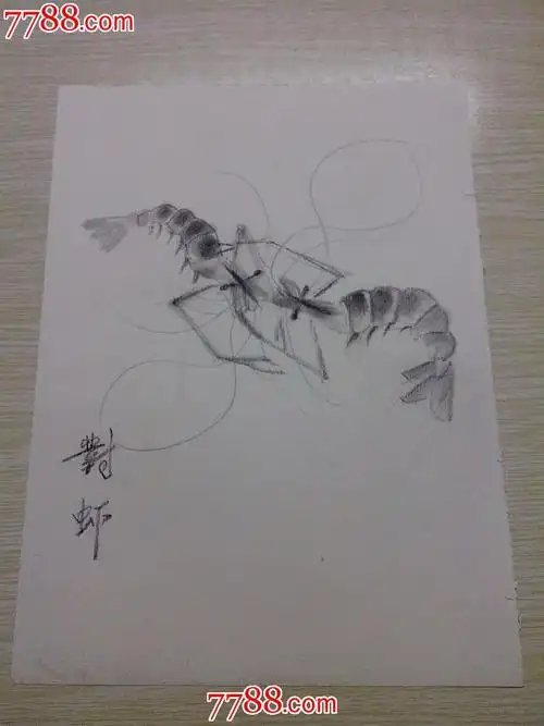 菜单 编号:素描/速写: se20844396,gang001014 属性:铅笔画原画,,动物