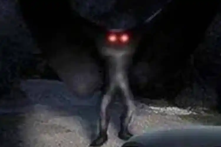 天蛾_事件_目击者