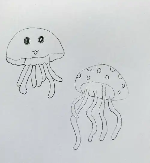 海洋探索之水母(jellyfish)