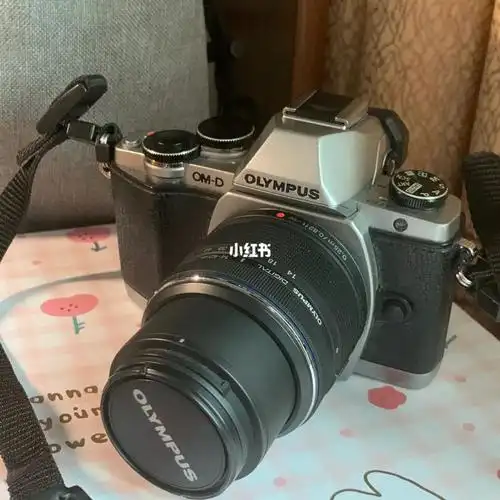 奥林巴斯em10一代
