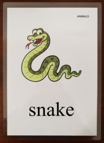 (动物)少儿英语单词学习大卡片游戏闪卡彩图过塑封老师教具