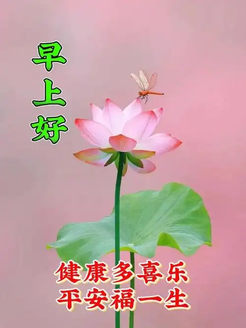 8月21日早安创意祝福图片表情包问候语录大全新的一天吉祥如意周一