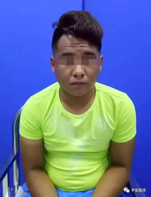 陆丰警方捉获3名涉抢涉枪犯罪分子!