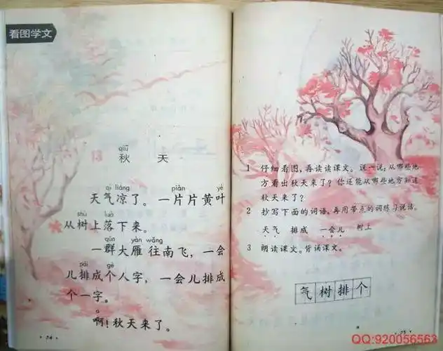 这是一年级,也是秋天,我七岁,吹胶苊赖那锾,感到了"黄叶"的诗意