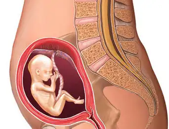 孕妈早知道:胎宝宝有这3个表现,说明他缺氧了,切不可大意_胎儿_孕妇