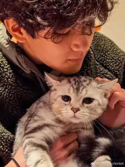 张智霖儿子张慕童晒近照 侧脸超像妈妈袁咏仪