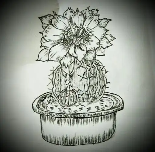 齐巧云初学铅笔画(盆栽植物篇)