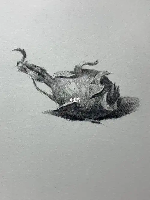 画画  #素描 #零基础素描  #素描静物  #火龙果  #寻找小红书换画