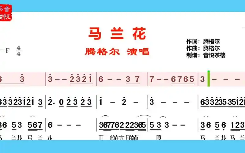 腾格尔马兰花展现出探及灵魂的深情仿佛遍地马兰花就在眼前
