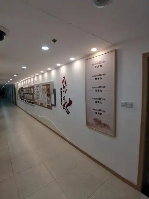 口碑好的文化墙策划_知名广告策划-南京伴渡文化传媒有限公司