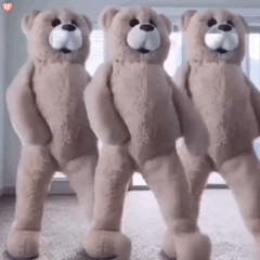 跳舞小熊表情包动图76