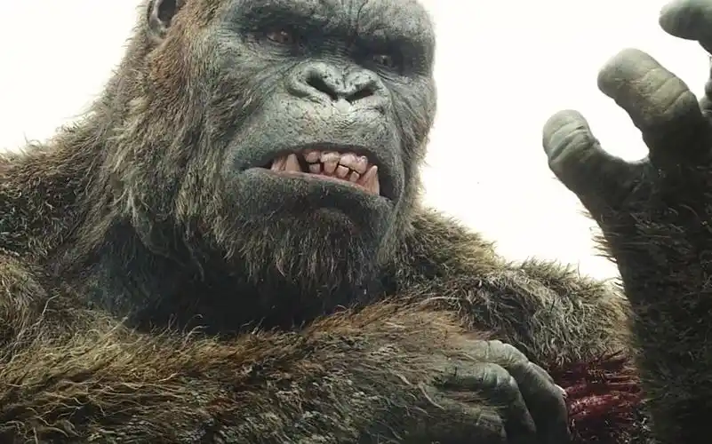 金刚骷髅岛大猩猩发怒报复