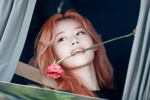 sana - 堆糖,美图壁纸兴趣社区