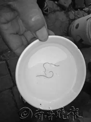 有红线虫的自来水还能喝吗