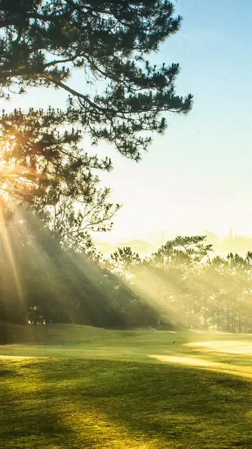 清新阳光h5背景