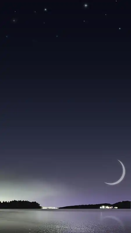 浅紫色渐变月夜星空h5背景素材(1280x1920)png梦幻手绘玫瑰牡丹背景墙