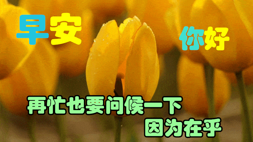 1月29日最漂亮早上好动态表情图片大全,早上好动图美图大全