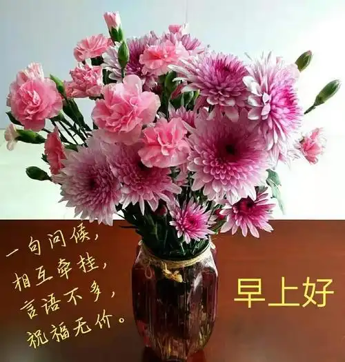 早上好[抱拳][玫瑰]