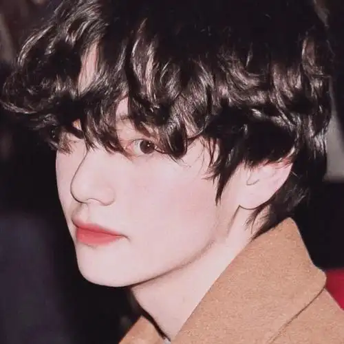 复古微醺卷毛泰79