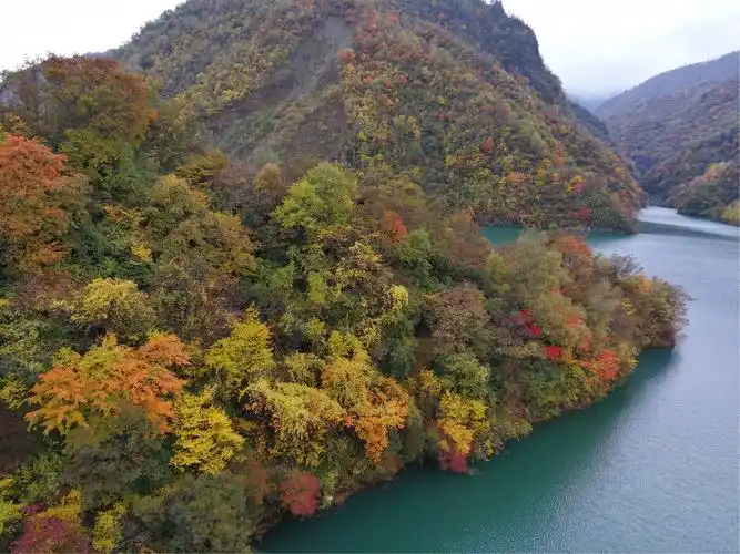 平武县王廊,老河沟自然保护区秋色
