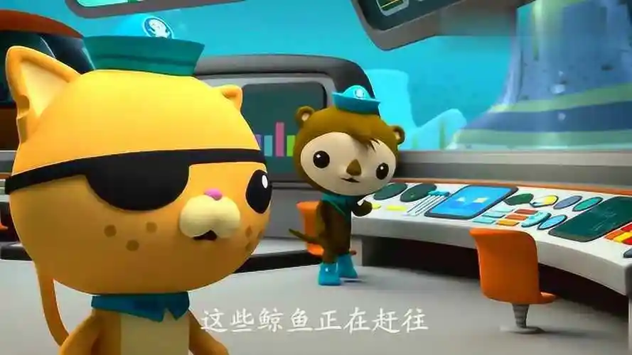 海底小纵队世界上所有的座头鲸都在唱同一首歌呀