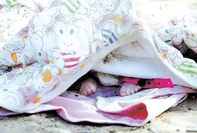 来广营小树林突现死婴 死因及父母尚不得而知