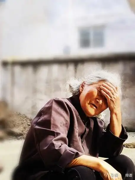 小区里有一个独居的老奶奶,儿子每半个月会过来看望一次,送钱送物,儿