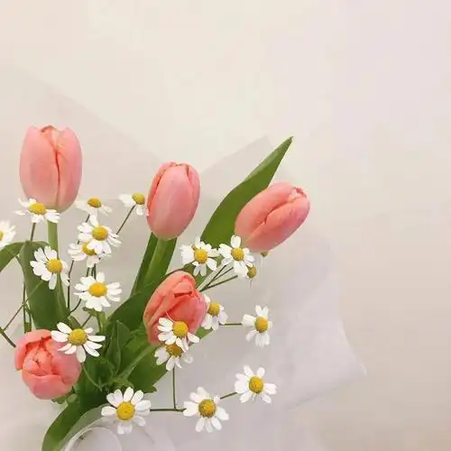 浪漫鲜花朋友圈背景图|鲜花_手机网易网