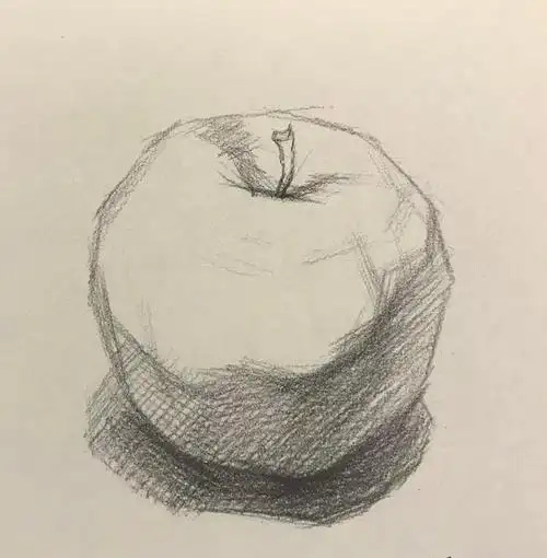 基础素描:水果静物——苹果的明暗画法和结构的详解