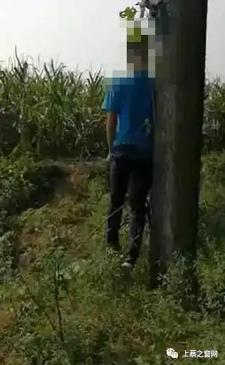 上蔡朋友圈疯传的"上吊"视频真相,竟然如此令人心痛