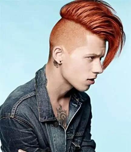 男生朋克头朋克头发型图片