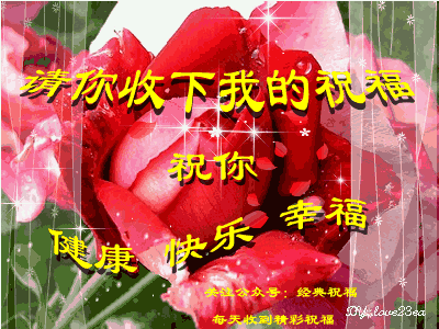 一首好听的歌送给远方的朋友愿你天天开心