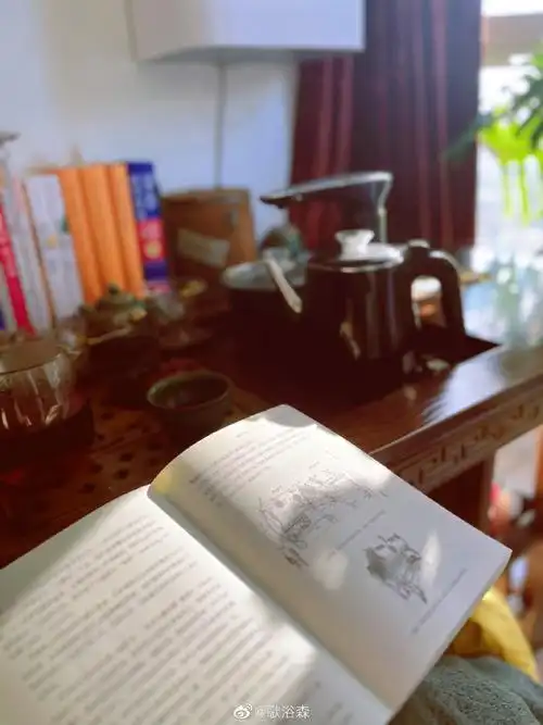 一束光98一本书98一壶茶95阳光沐浴的花木芬芳绚丽,让我消融于