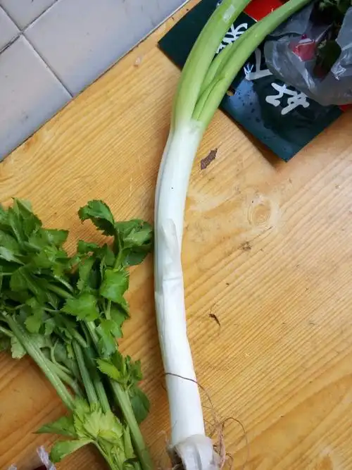 一根葱4块钱,是被老板坑了,还是确实那么贵,各网友,你们那里的葱多少