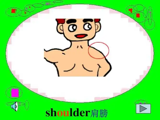 shoulder肩膀