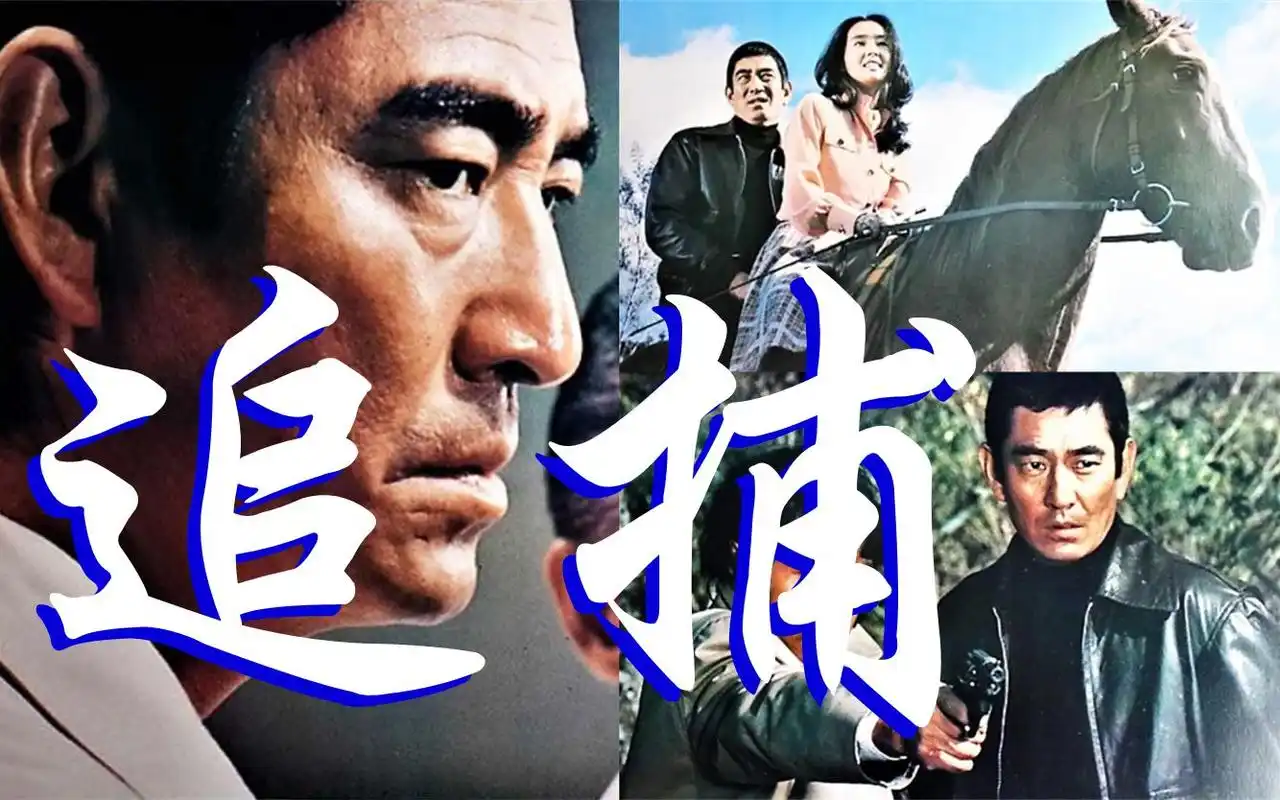 日本电影追捕轰动一时观者如潮高仓健中野良子在中国大火