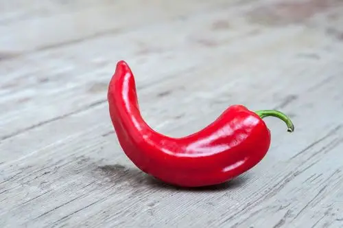 辣椒图片