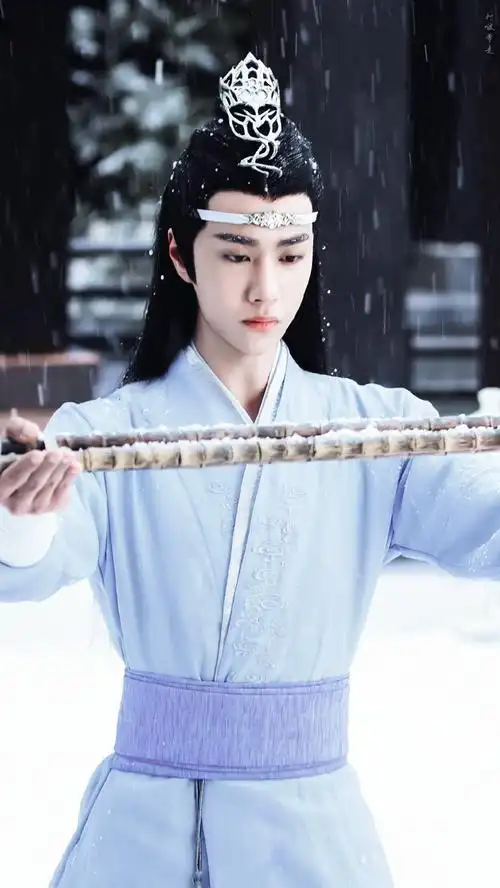 (陈情令)蓝忘机