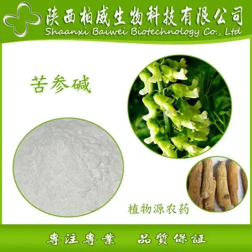 苦参提取物质量标准研究